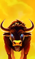 Big Wild Buffalo 2